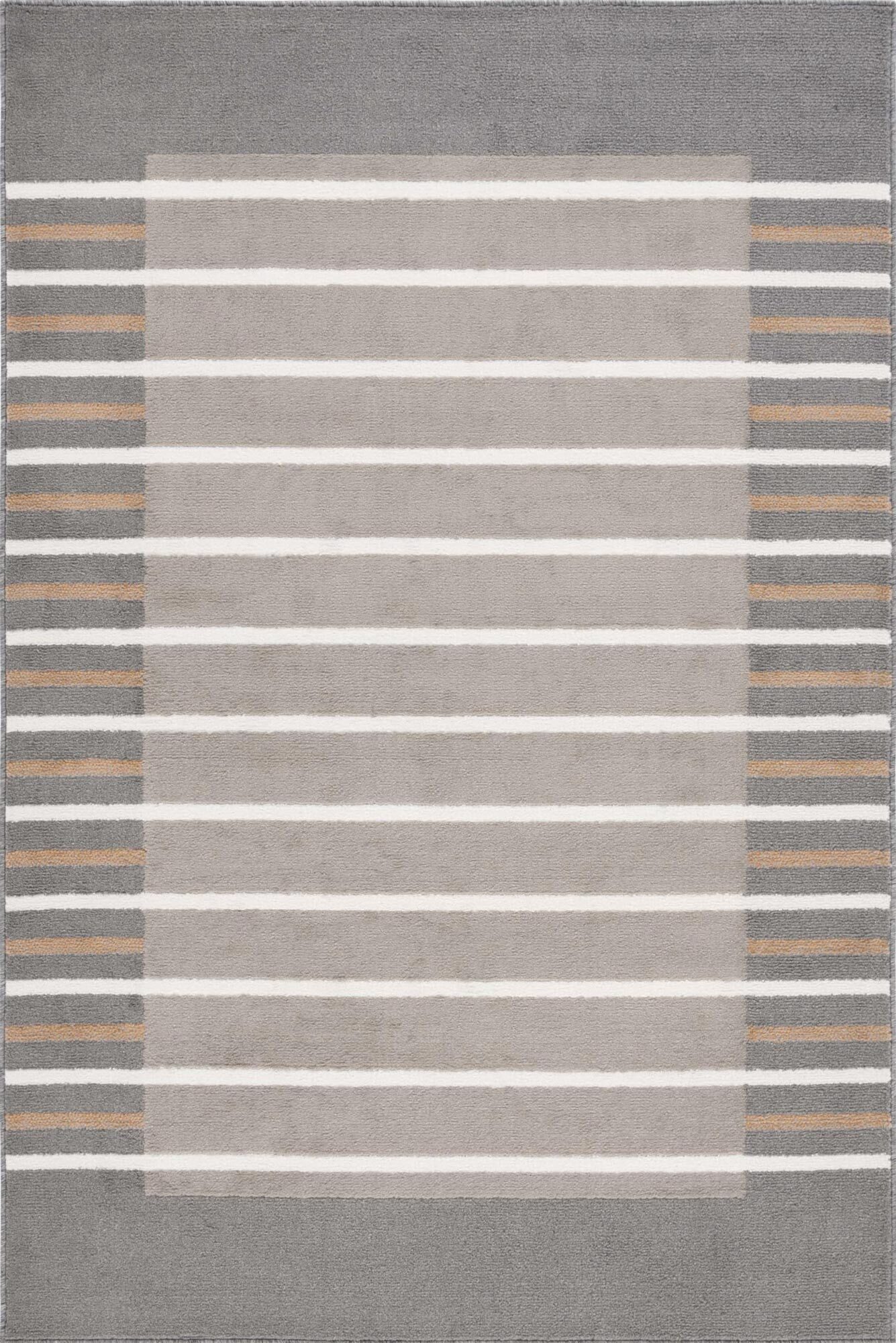 Alfa Modern Striped Border Rug