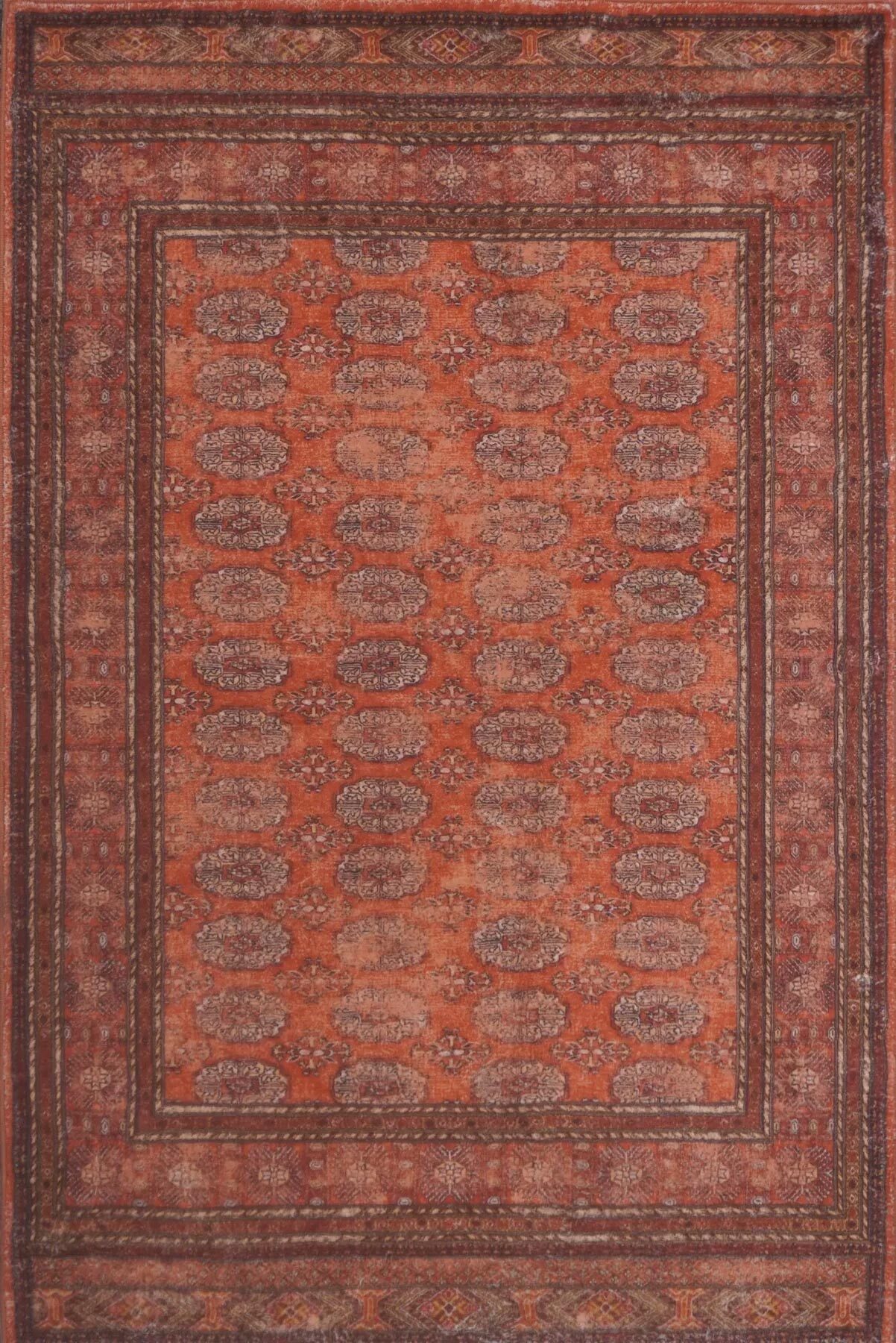 Cato Traditional Geometric Rug