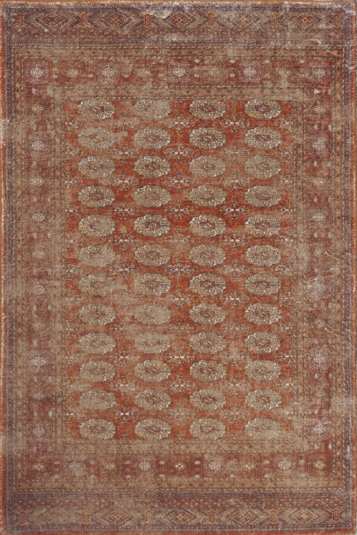 Cato Traditional Geometric Rug