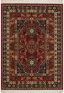 Turkomen Classic Rug AN4338-RD