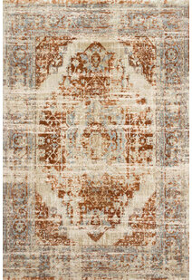 Aram Faded Traditional Rug