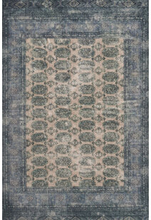 Cato Traditional Rug CA1616-1