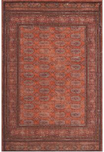 Cato Traditional Geometric Rug