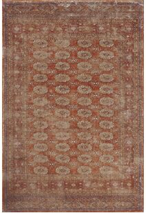 Cato Traditional Geometric Rug