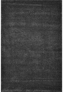 Leo Modern Thick Plain Black Rug