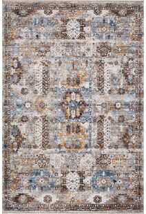 Lukas Traditional Medallion Rug