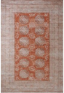 Noble Traditional Rug NJ1619-8