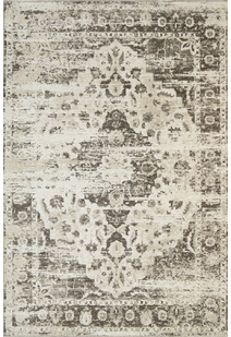 Ryan Transitional Medallion Rug