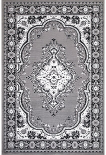 Toni Traditional Medallion Rug