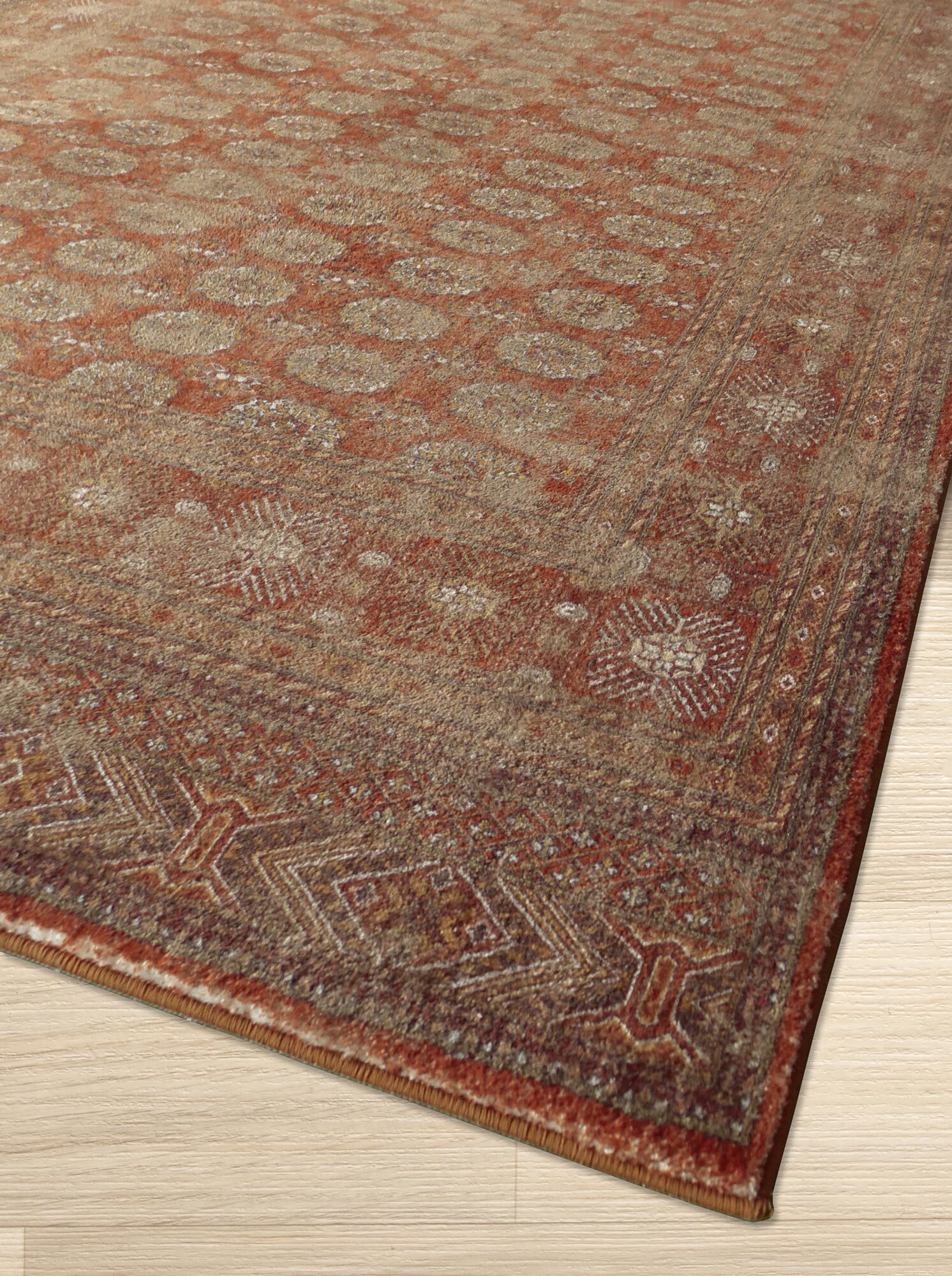 Cato Traditional Geometric Rug