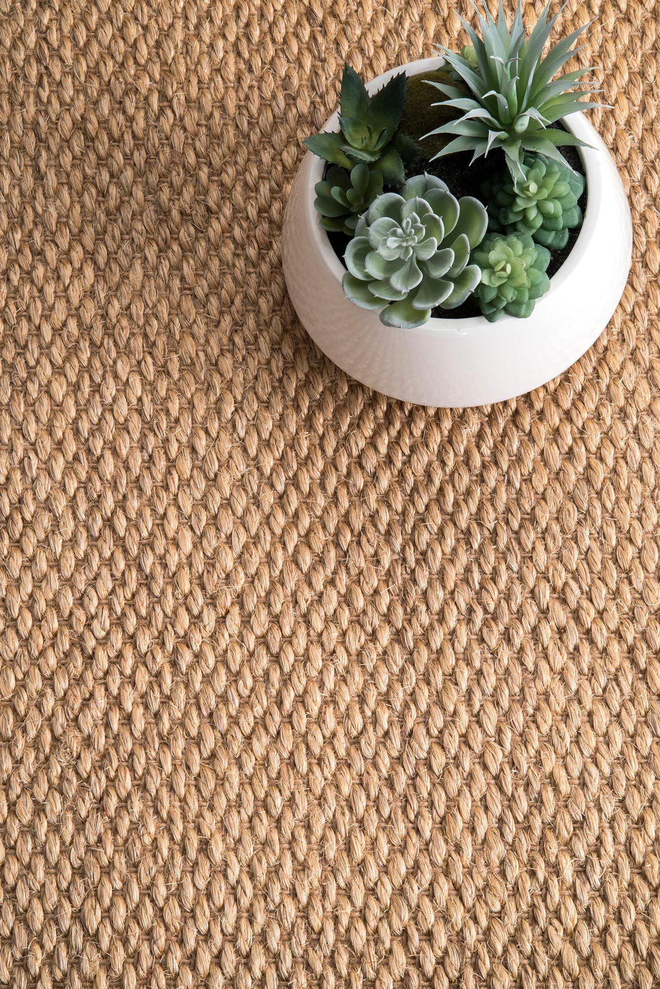 Lidia Sisal Flatweave Border Rug