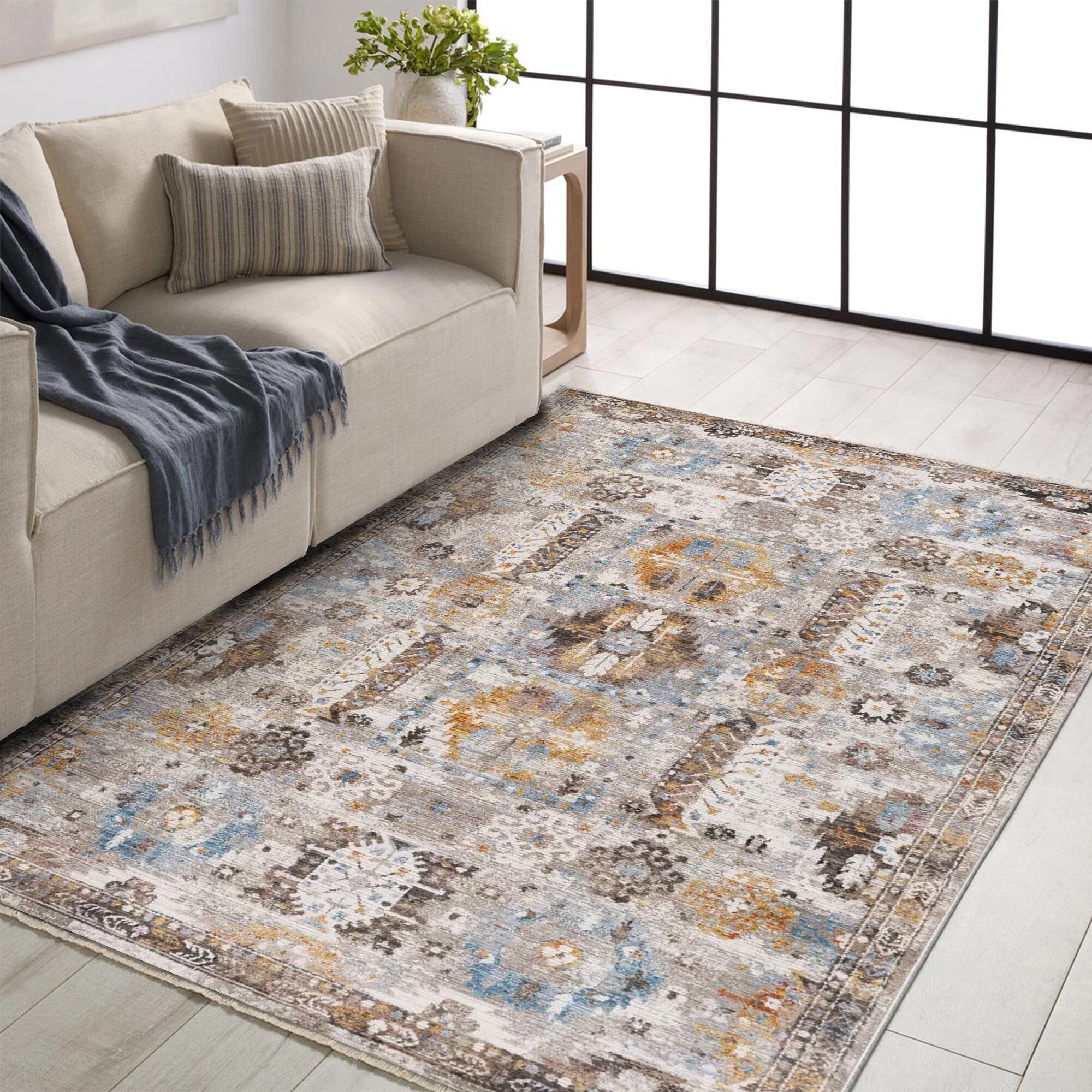 Lukas Traditional Medallion Rug