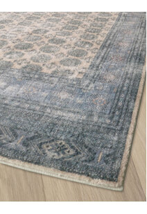 Cato Traditional Geometric Rug