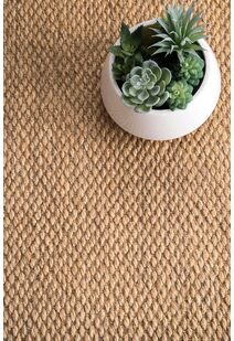 Lidia Sisal Flatweave Border Rug