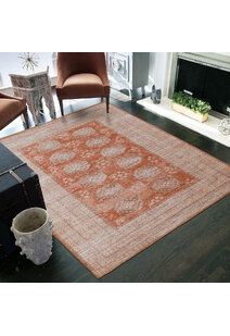 Noble Traditional Medallion Rug