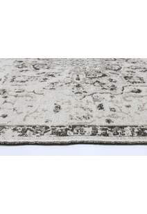 Ryan Transitional Medallion Rug