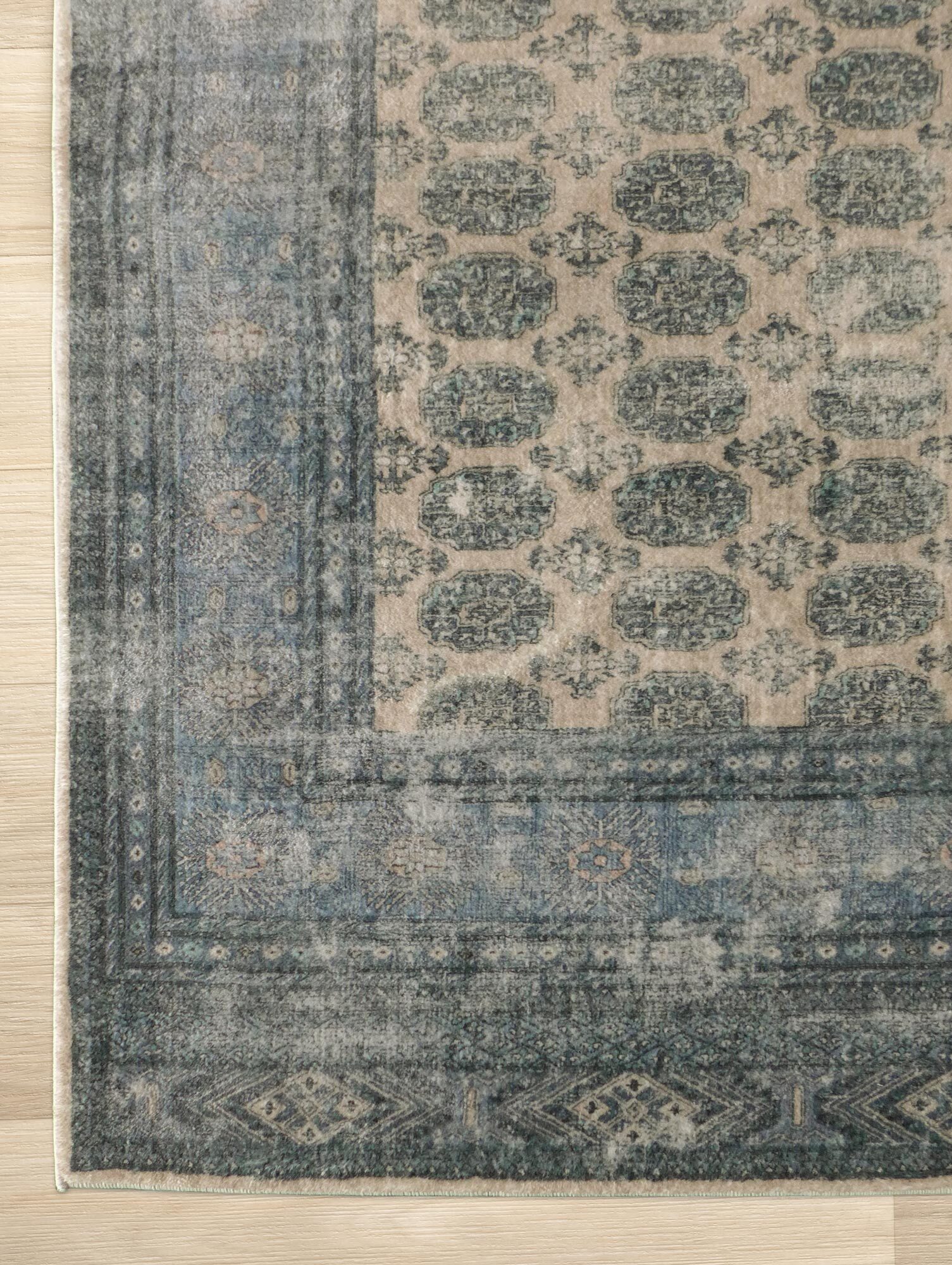 Cato Traditional Geometric Rug