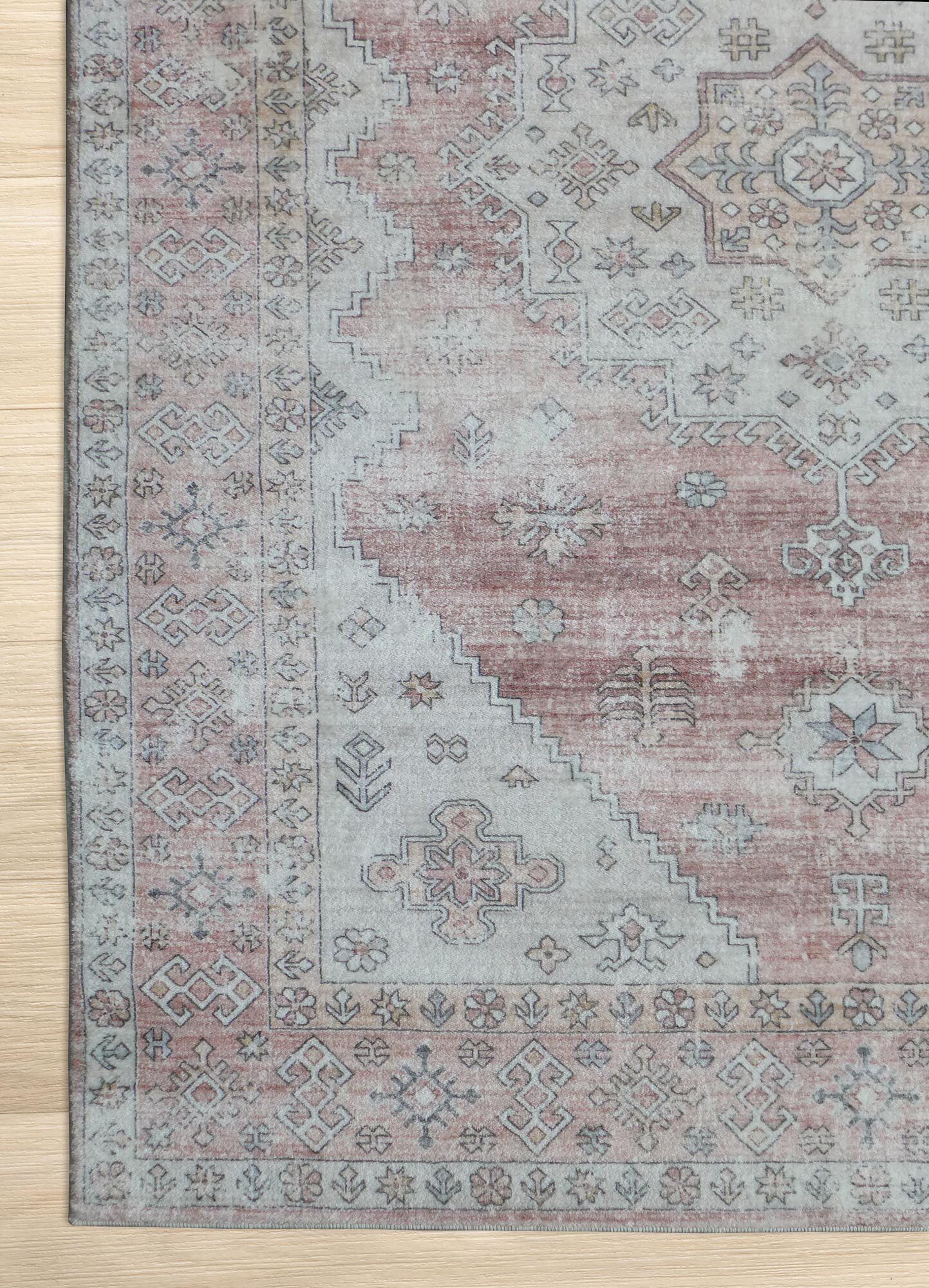 Cato Traditional Medallion Rug