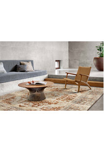 Aram Faded Traditional Rug