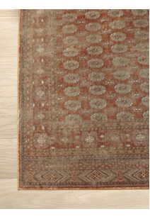 Cato Traditional Geometric Rug