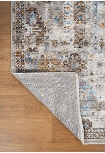 Lukas Traditional Medallion Rug