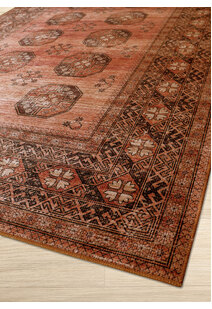 Noble Traditional Medallion Rug