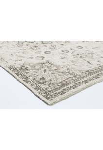 Ryan Transitional Medallion Rug