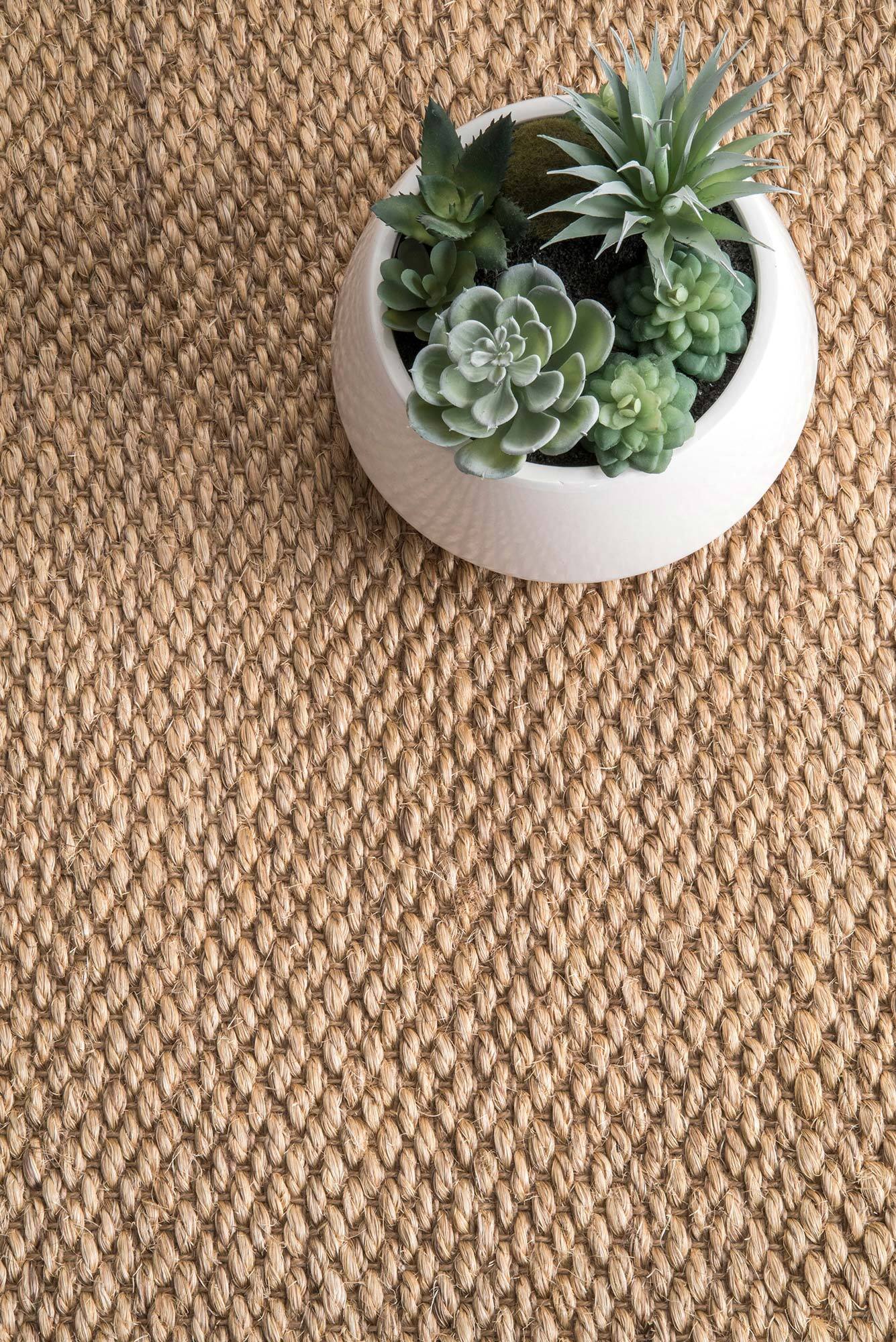 Lidia Sisal Flatweave Border Rug