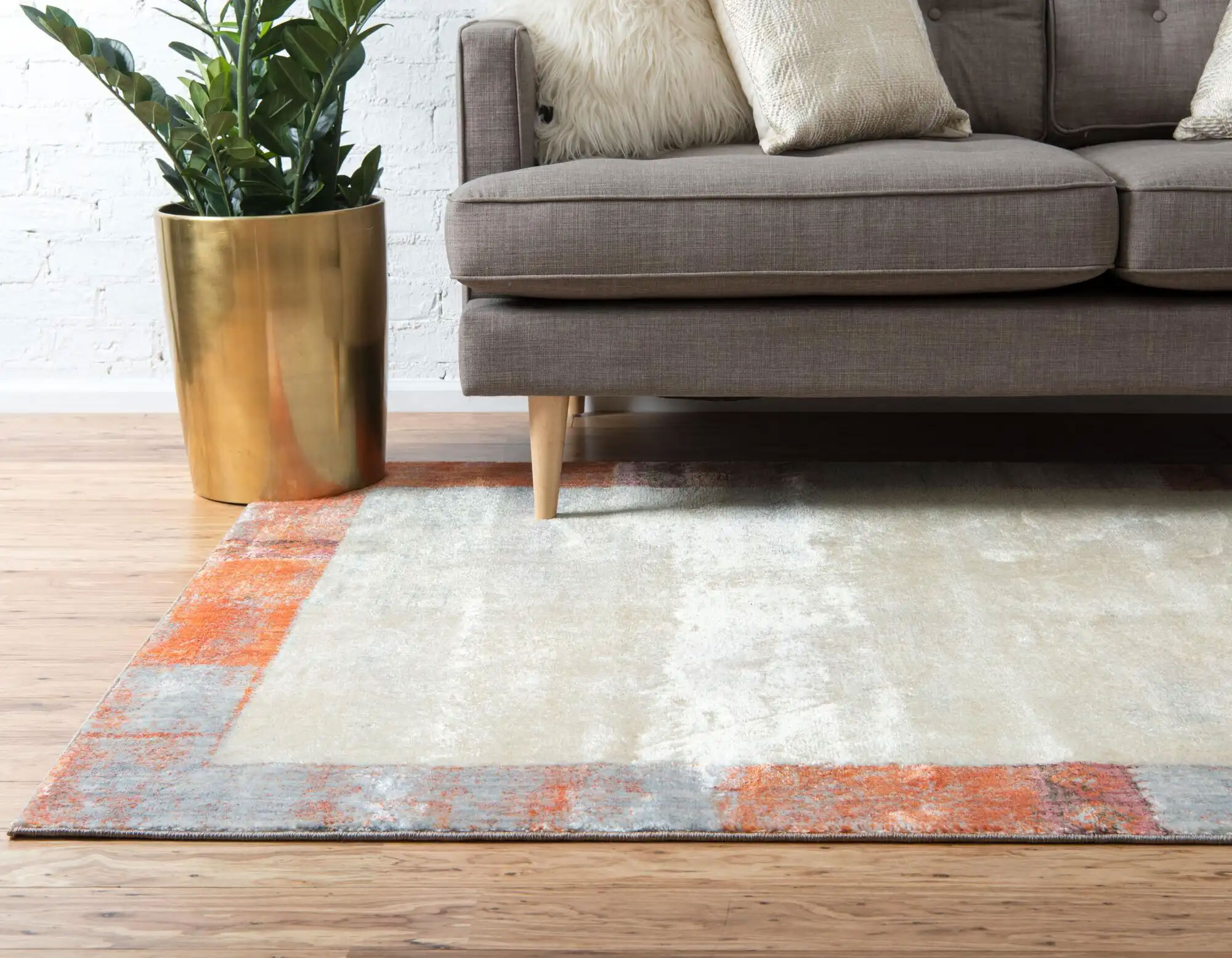 Lisa Contemporary Border Rug