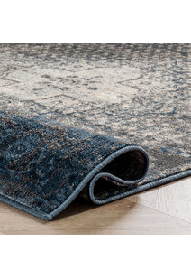 Ugo Overdyed Medallion Rug