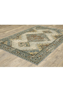 Caleb Traditional Medallion Rug