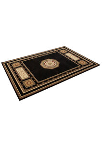 Cain Transitional Medallion Rug