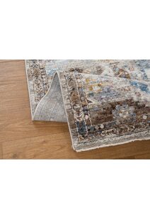 Lukas Traditional Medallion Rug