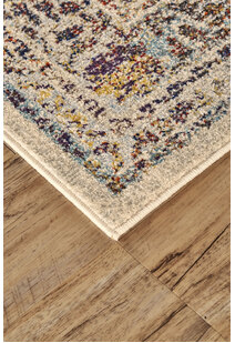 Lester Traditional Overdyed Rug