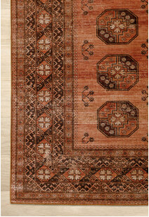 Noble Traditional Medallion Rug