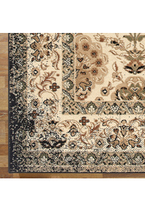 Sonia Traditional Overdyed Rug