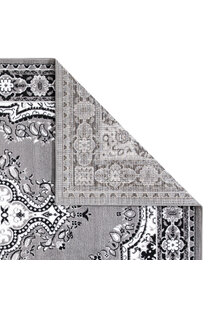 Toni Traditional Medallion Rug