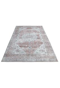 Cato Traditional Medallion Rug