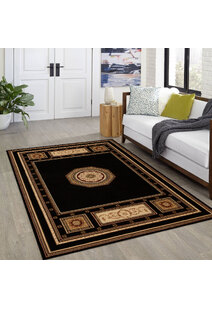 Cain Transitional Medallion Rug