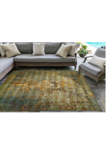 Aperto Transitional Green Rug