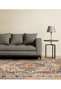 Lester Traditional Overdyed Rug