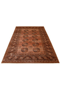 Noble Traditional Medallion Rug