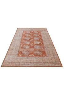 Noble Traditional Medallion Rug