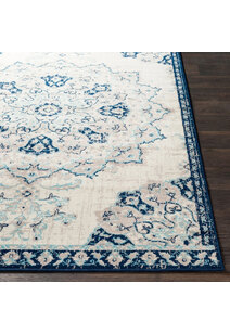 Space Traditional Medallion Rug