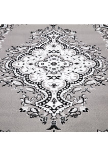 Toni Traditional Medallion Rug