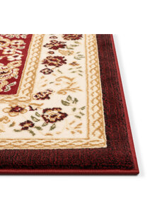 Americo Floral Medallion Rug