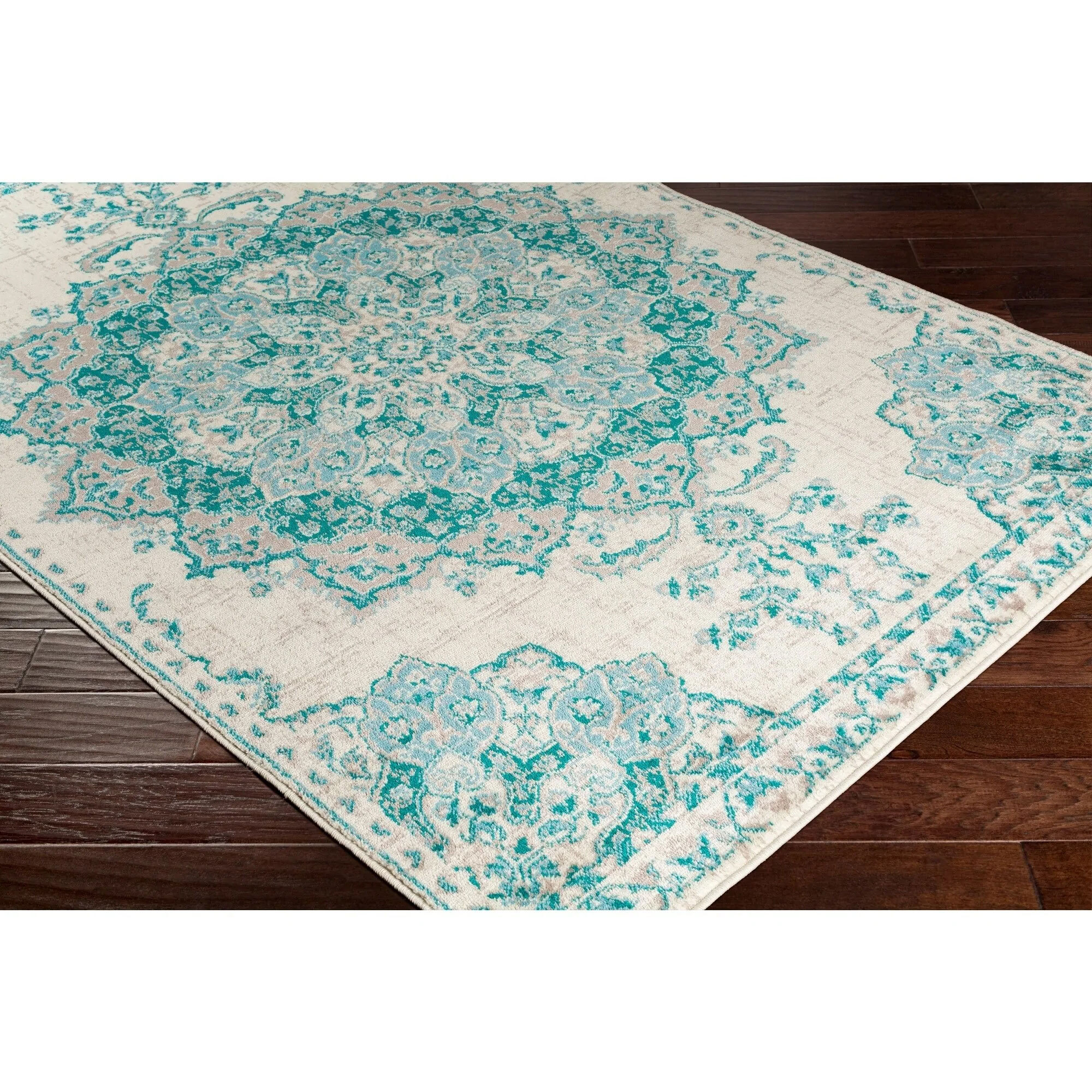 Space Traditional Medallion Rug