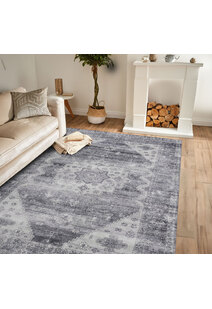 Cato Traditional Medallion Rug