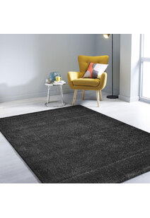 Leo Modern Thick Plain Black Rug