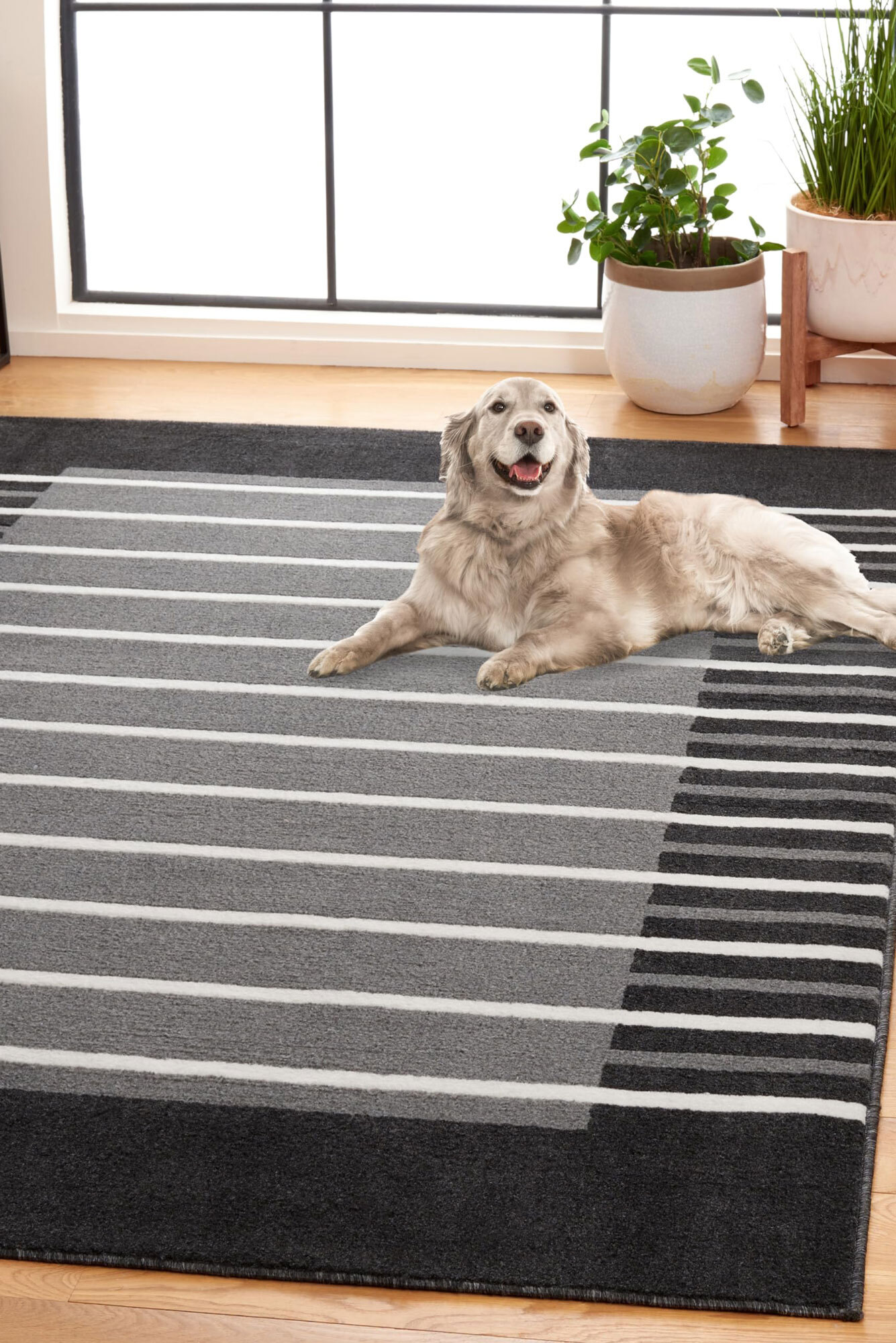 Alfa Modern Striped Border Rug(Size 230 x 160cm)